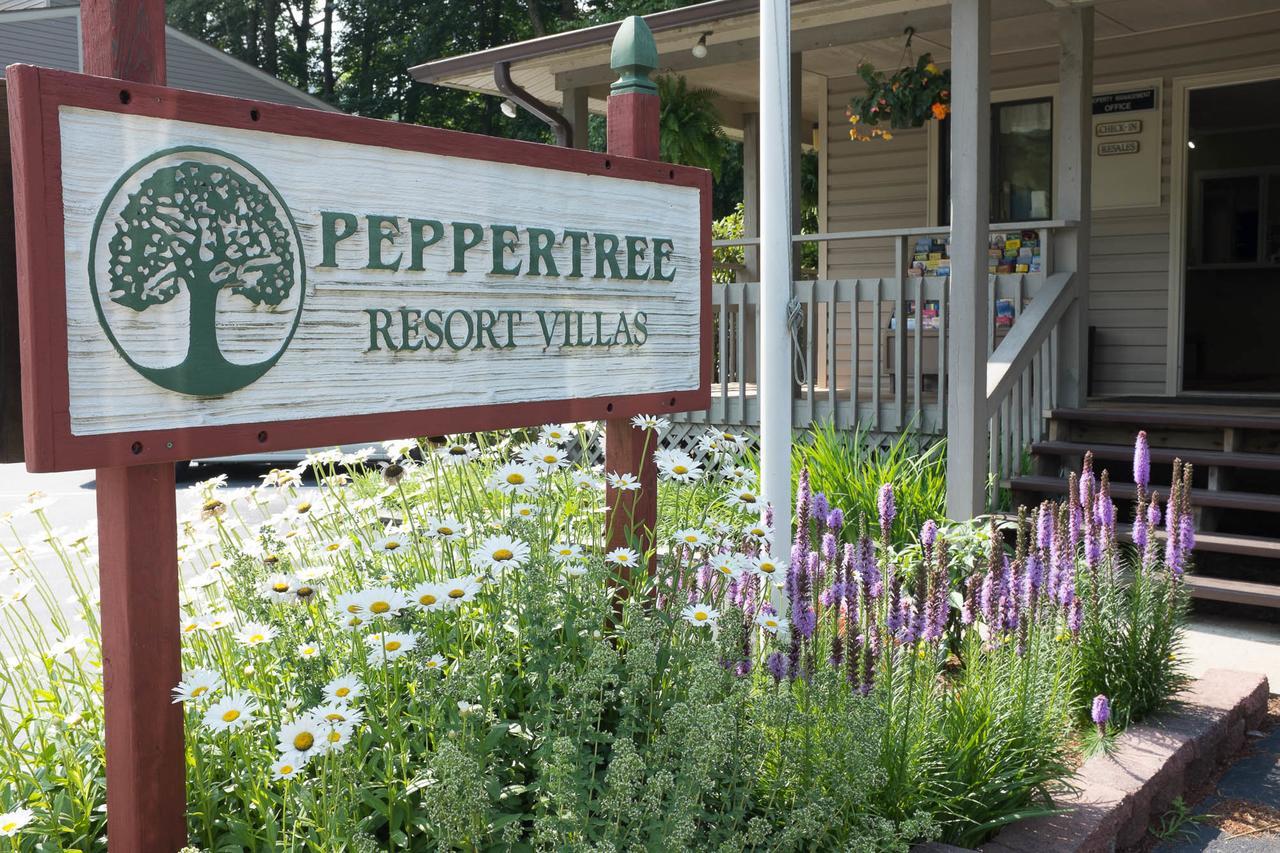 Peppertree Maggie Valleyアパートホテル エクステリア 写真