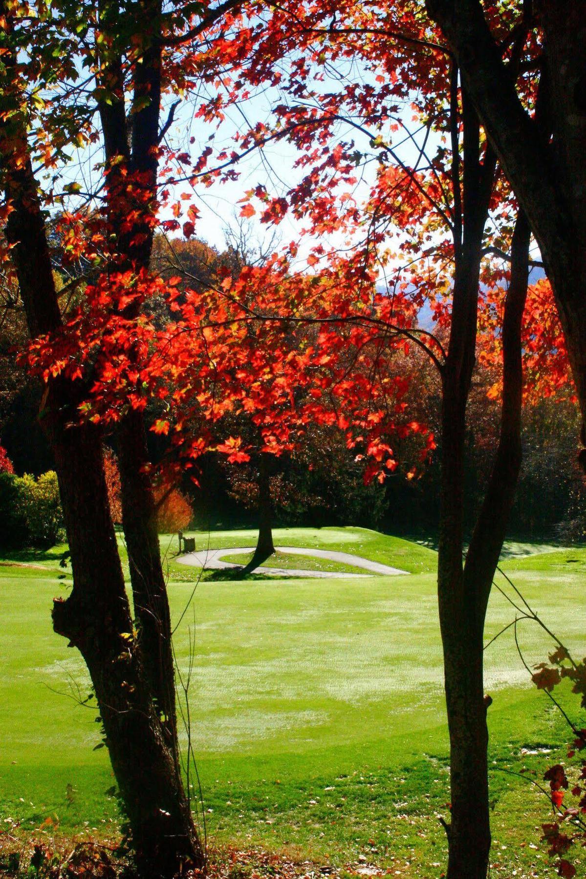 Peppertree Maggie Valleyアパートホテル エクステリア 写真